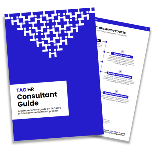 Consultant Guide PDF